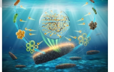 Angew：氧化還原共生法制備具有防污性能的 Cu(I)MOF/聚合物復合材料