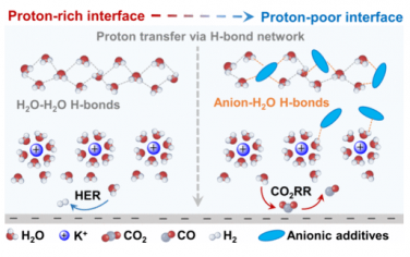ACS Catal：調節界面氫鍵促進酸性電解CO2