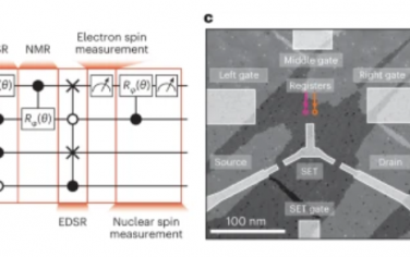 Nature Nanotechnology：四量子位寄存器中電子和核自旋的高保真初始化和控制