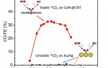 Angew：使用分子分散的鈷酞菁作為 CO2 還原催化劑穩(wěn)定酸性界面處的 *CO2 中間體