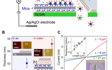Science Advances：表面擴(kuò)散增強(qiáng)離子在二維納米通道中的輸運(yùn)