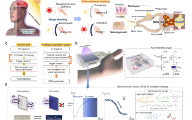 Science Advances：用于仿生輻射屏蔽的單片集成神經(jīng)形態(tài)電子皮膚