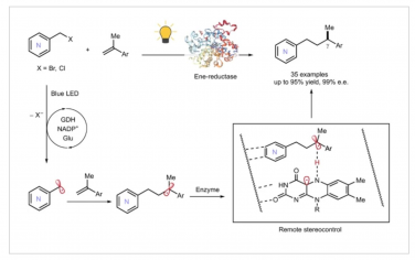 Nature Chemistry：通過酶促氫原子轉移實現氮雜芳烴的遠程立體控制