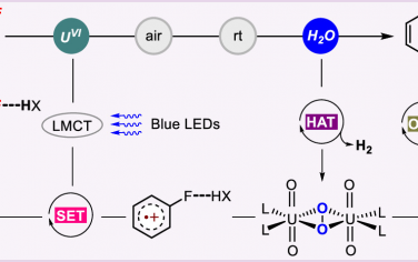 華東師范大學(xué)JACS：光催化分解水介導(dǎo)C-F羥基化