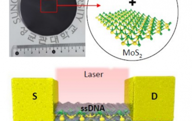 Adv Mater：DNA-MoS2生物納米復合物優異光導電性能
