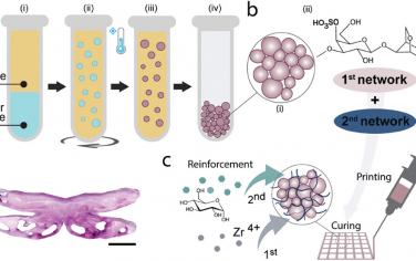AFM：可3D打印的κ-卡拉膠基顆粒水凝膠