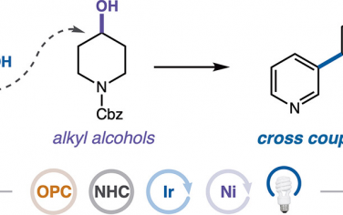 普林斯頓大學&加州大學&默克制藥JACS：NHC-Ni協同催化芳基羧酸脫羧C(sp2)-C(sp3)偶聯