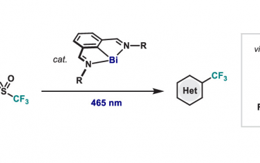JACS：Bi光催化C(sp2)-H三氟甲基化
