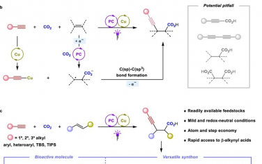 四川大學(xué)Nature Commun：CO2和炔烴對(duì)烯烴炔基羧基化構(gòu)筑β炔基酸