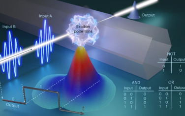 Nature Photonics：局域激子極化子中的全光時序邏輯門
