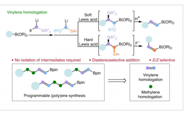 Nature Synthesis：有機(jī)硼酸酯的立體選擇性亞乙烯基同系物合成烯基硼酸酯