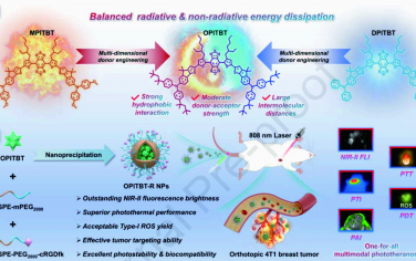 Biomaterials：多維供體工程化NIR-II AIEgens用于實現原位乳腺癌多模態光學診療