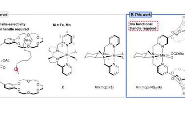 Chem：對(duì)沒有導(dǎo)向官能團(tuán)的惰性C-H鍵活化