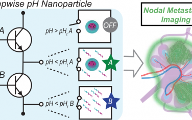 ACS Nano：逐級的pH超敏感性膠束能夠克服系統性淋巴結遞送的pKa障礙