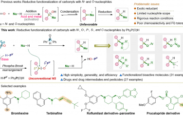 湖南大學&湖南第一師范&麥吉爾大學Science Advances：二酚磷氧直接還原羰基