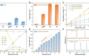 PNAS：通過優先乙二醇氧化提高Cu?O?Ti活性位點上NO3-還原為NH3的效率和選擇性