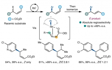 Nature Chemistry：螯合作用實現了無環烯丙基體系上對映體收斂鈴木-宮浦交叉偶聯的選擇性控制