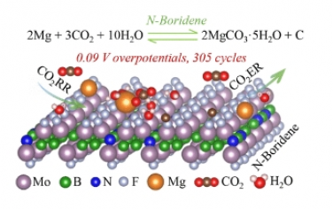 JACS：氮錨定硼化物使 Mg?CO2 電池具有高可逆性