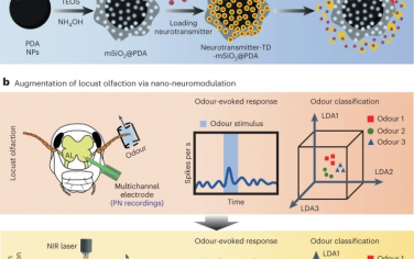 Nature Nanotechnology：光熱納米粒子調(diào)節(jié)昆蟲的嗅覺