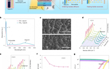 Nature Photonics：具有淀粉-聚碘界面緩沖層的鈣鈦礦太陽能電池疲勞性能的改善