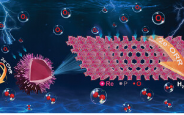 蘇州大學Adv Mater：空心多級結構RE-P-O電化學合成H2O2