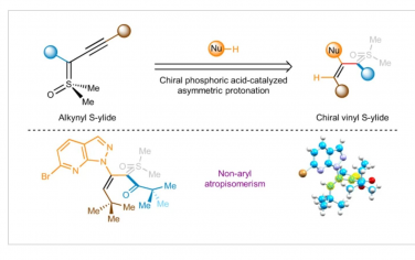 Nature Chemistry：手性酰基取代穩定乙烯基磺酰亞基的發現與合成