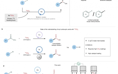 Nature Commun：電催化對有機分子標記C-14