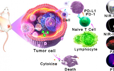 ACS Nano：CRISPR-Cas9和AIE光敏劑介導的先進納米平臺用于增強癌癥治療