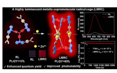 JACS：高發光金屬超分子自由基籠