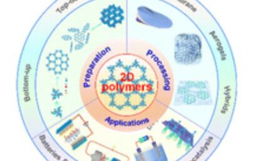 Chem. Soc. Rev.：二維聚合物的最新進(jìn)展：合成、組裝和能量相關(guān)應(yīng)用