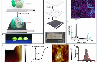 Science Advances：電極化納米級表面產生活性氧化和氯化物質，用于滅活微生物