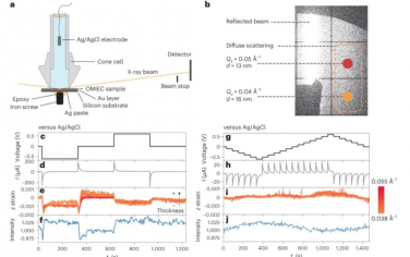 Nature Materials：有機混合離子-電子導體中的內部應變和介觀動力學研究