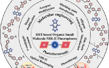 ACS Nano綜述：苯并噻二唑基小分子NIR-II熒光分子的分子工程和納米光學診療應用