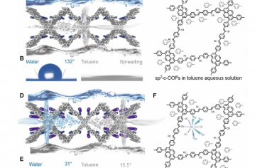 Science Advances：sp2 -c-COF 上原子分離的 Sb(CN)3 具有平衡的親水和親油位點，用于光催化 C-H 活化