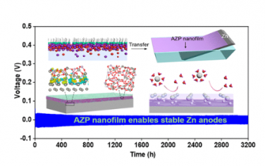 ACS Nano：用于鋅負極保護的具有優異離子傳導性的純非晶超薄磷酸鹽層