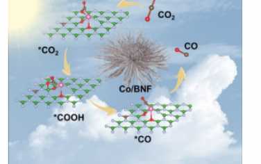 AM: 用孤立的 Co 原子調節氧摻雜氮化硼的電荷分離以增強 CO2 到 CO 的光還原