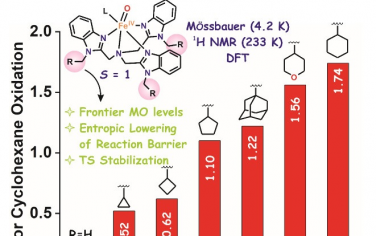 JACS：調(diào)節(jié)次級配位球的環(huán)烷基實現(xiàn)Fe(IV)=O配合物的催化活性提高1個數(shù)量級
